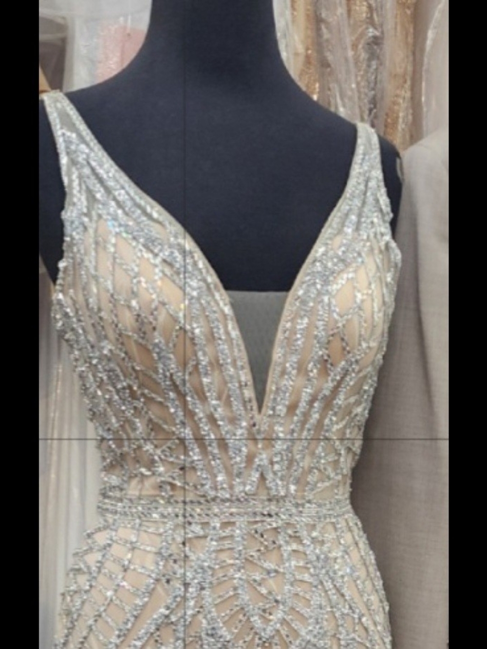 Embellished V-Neck Wedding Dress in Nude and Silver